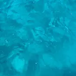Apartment Sailing