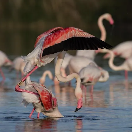 Sailing Apartament Cagliari