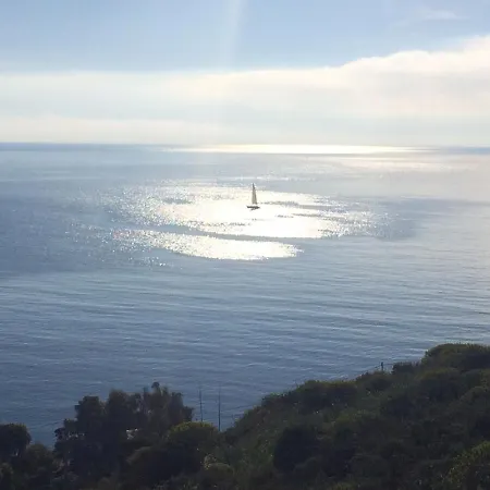 Sailing *
