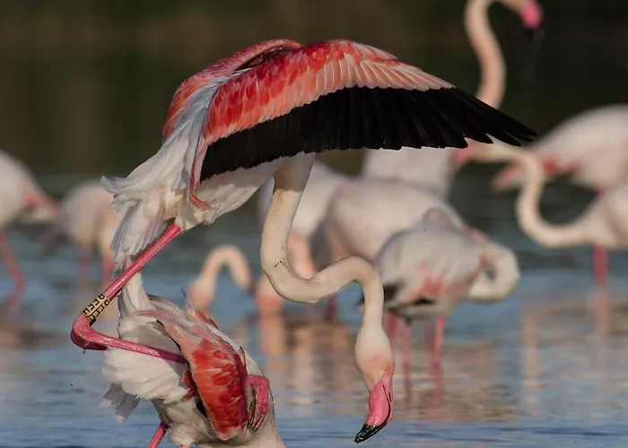 Sailing Apartman Cagliari